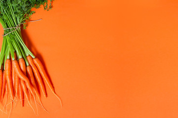 Bunch of whole fresh raw carrots with green leaves on orange background. Vegan, vegetarian, farm market or healthy food concept. Top view with copy space for text.