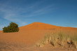 In den roten Sand-Dünen von Merzouga, Marokko