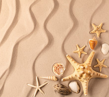 Sea Star And Shelfish On The Rippled Sand Of Tropical Exotic Beach. Background With Copy Space.