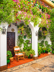 Wall Mural - Nice patio with flowers and pond in Cordoba, Spain