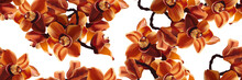 Seamless Pattern With Orange Orchids On A White Background. Tropical Orchid Cymbidium Flowers. Hand Drawn Realistic Vector Illustration With Bright Orange Orchids. 
