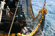 yellowfin tuna in the net of a tuna ship