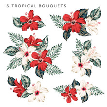 Set Of The Tropical Red, White Hibiscus Flowers And Leaves Bouquets, White Background. Vector Floral Illustration. Exotic Plants. Summer Beach Design. Paradise Nature