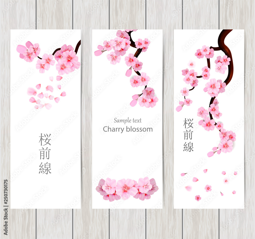 Set of greeting and invitation card with cherry blossom Spring ...