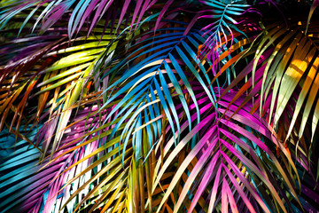 Wall Mural - Beautiful, many colorful palm leaves forming a background