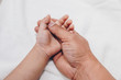 © S@photo - Closeup of kids hand into parents hands. Family concept