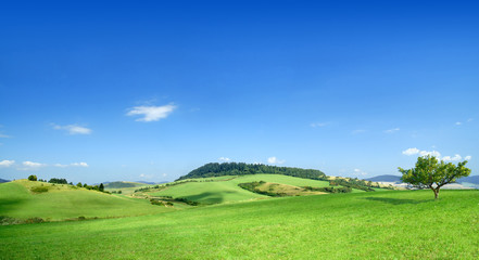 Wall Mural - idyllic landscape, view of green fields and blue sky