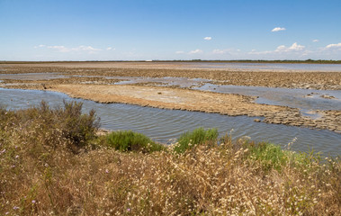 Poster - Camargue in France