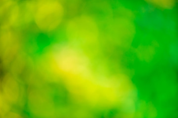 Wall Mural - abstract green background with bokeh