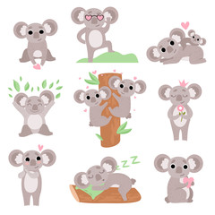 Sticker - Cute Coala Bears Set, Funny Animal Cartoon Characters in Various Poses and Situations Vector Illustration