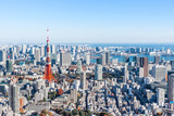 Fototapeta Miasta - tokyo tower aerial view in Tokyo, Japan