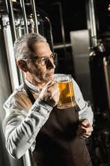 Wall Mural - handsome senior owner testing beer in brewery