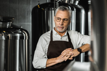 Wall Mural - handsome senior brewer in apron standing in brewery