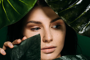 Wall Mural - young woman with freckles on face posing with tropical leaves isolated on green