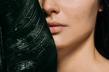 Wall Mural - cropped view of beautiful woman with freckles posing with green palm leaf