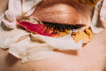 Wall Mural - close up of girl with petals and makeup on closed eye