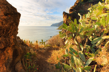 Wall Mural - Beautiful backlit landscape view of the coastline cliffs at Tuneis antigos near Ponta do Sol on the east coast of Madeira island, at sunset with the atlantic ocean in summer