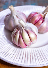 Three bulbs of fresh violet French garlic close up