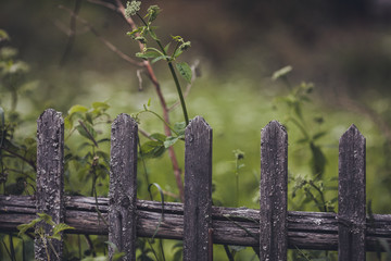 old wooden fence with green grass and blue sky