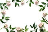 Fototapeta Na ścianę - Delicate frame of pink roses and leaves on a white background with space for text. Floral background. Top view. Copy space. Mock-up
