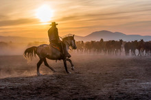 The Cowboy Who Tamed Horses At Sunset