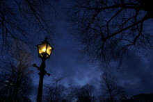 Street Lamp In The Night