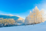 Fototapeta Dmuchawce - Winter scenery of trees and mountains