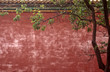 © Mint Images - Forbidden City Wall and Tree