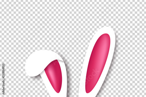 Fotografía Vector realistic isolated bunny ears for template and layout decoration on the transparent background