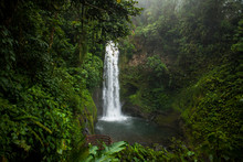  La Paz Waterfall Garden, Central Valley, Costa Rica