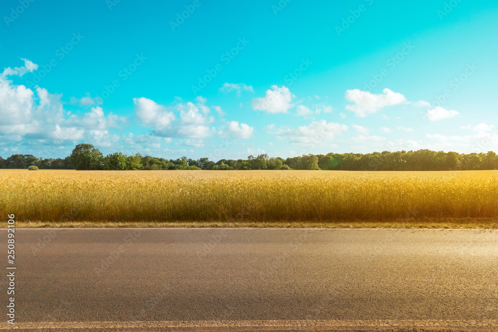 empty country road  with field and rural landscape background on a sunny day - - obrazy, fototapety, plakaty 