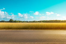 Empty Country Road  With Field And Rural Landscape Background On A Sunny Day -
