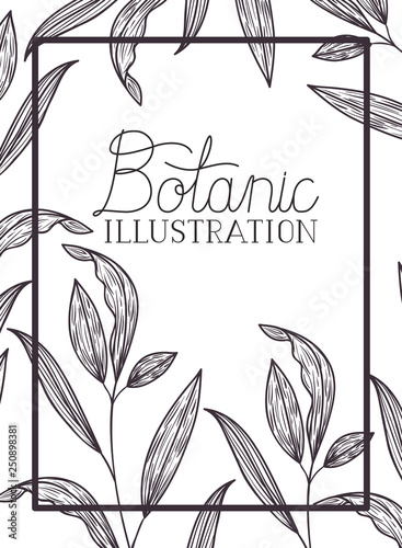 Fotografía botanic illustration label with plants