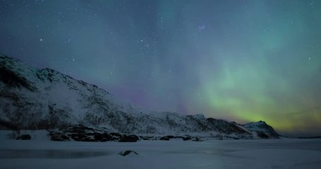 northern lights, polar light or aurora borealis in the night sky over the lofoten islands in norther