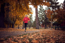 Woman Jogging In Park  