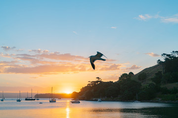 Poster - Sun sets over Pilot Bay