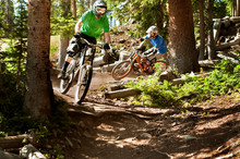 Mountain Bikers Riding In Forest 