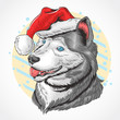 christmas dog with santa hat