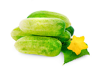 Wall Mural - Sliced cucumber with leaf and flower isolated on a white background