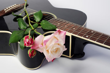 Canvas Print - Acoustic guitar and pink rose.