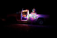 Lit Christmas Tree Outside Truck 