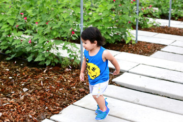 Portrait of Asian little cute boy in the  garden