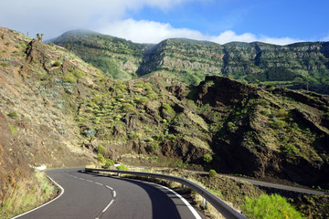 Wall Mural - Asphalt road