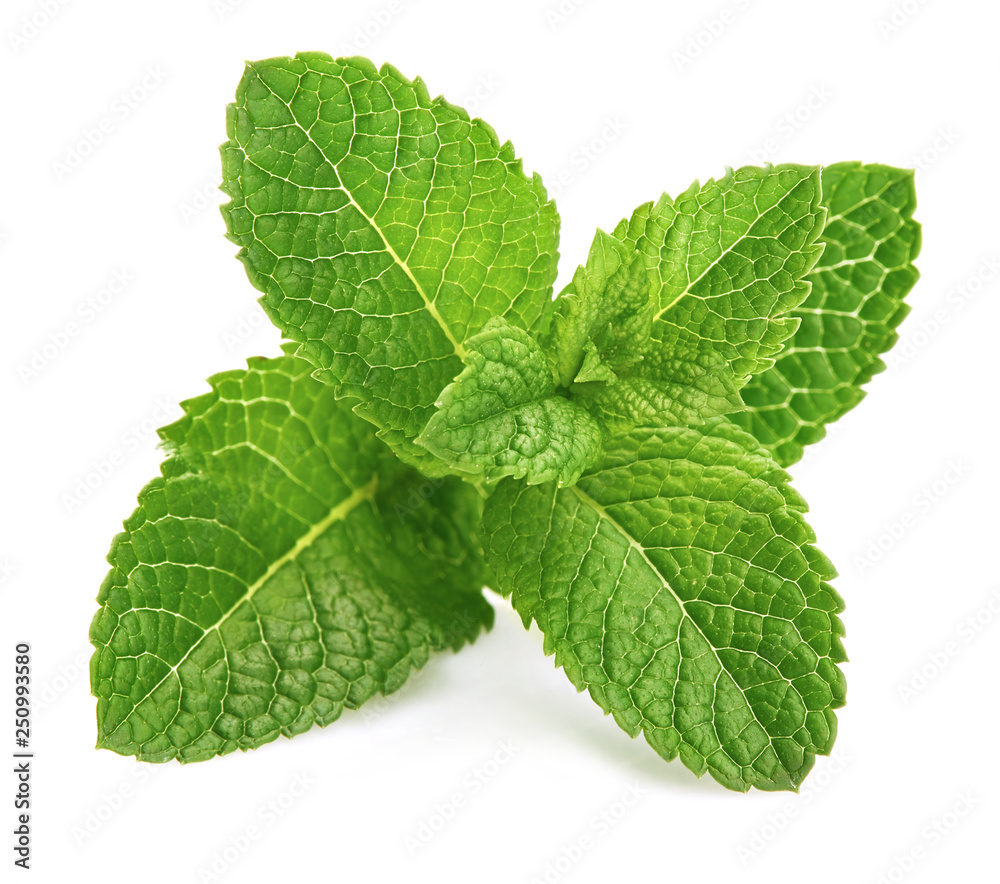 Fresh leaf mint green herbs ingredient for mojito drink, isolated on white background. - obrazy, fototapety, plakaty 