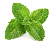 Fresh Leaf Mint Green Herbs Ingredient For Mojito Drink, Isolated On White Background.