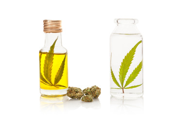 Wall Mural - Cannabis oil and alcohol extract in bottles with marijuana buds.