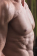 © Abramov Maksim - a man is engaged in bodybuilding in the gym, raises the bar and trains his muscles.