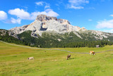 Fototapeta Sawanna - The rocky peaks of the Dolomites mountains, Italy