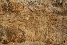 The Soil With Different Layers Close Up