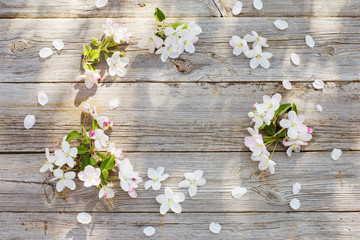  white apple flowers on old wooden background